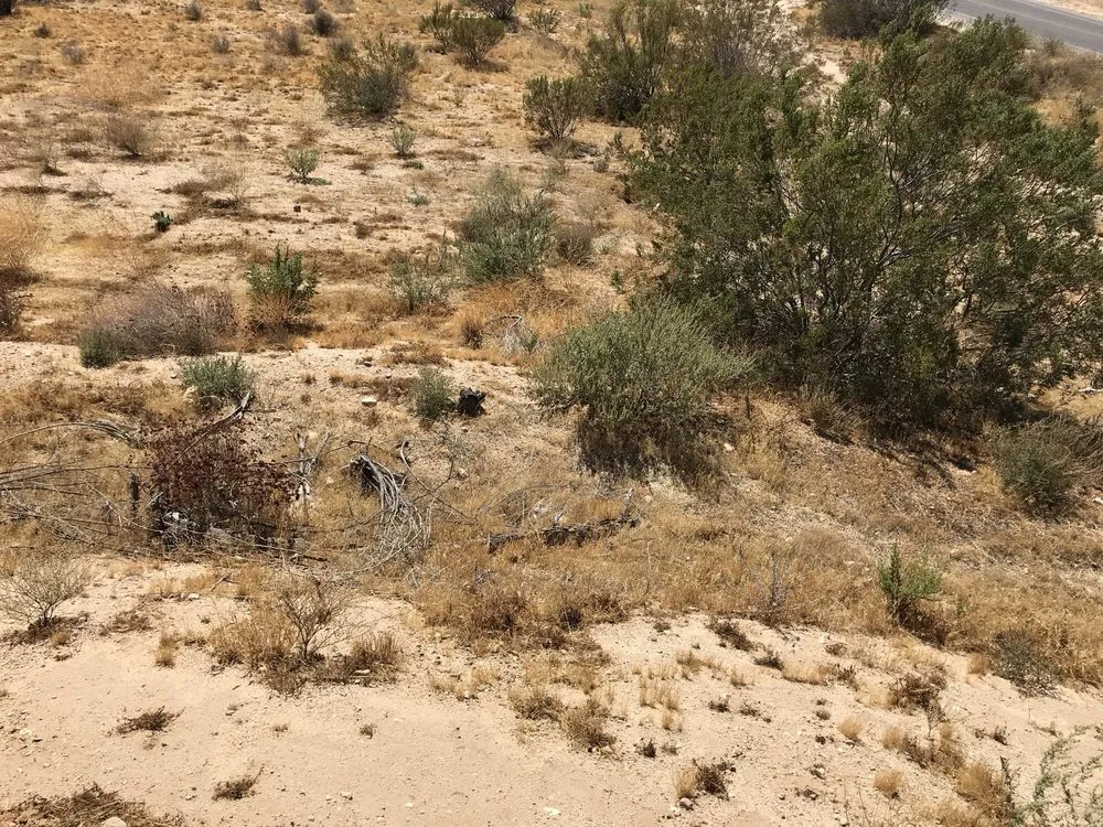 Custom lawn mowing service experts serving Hesperia, CA - Fast Trac Tractor Service