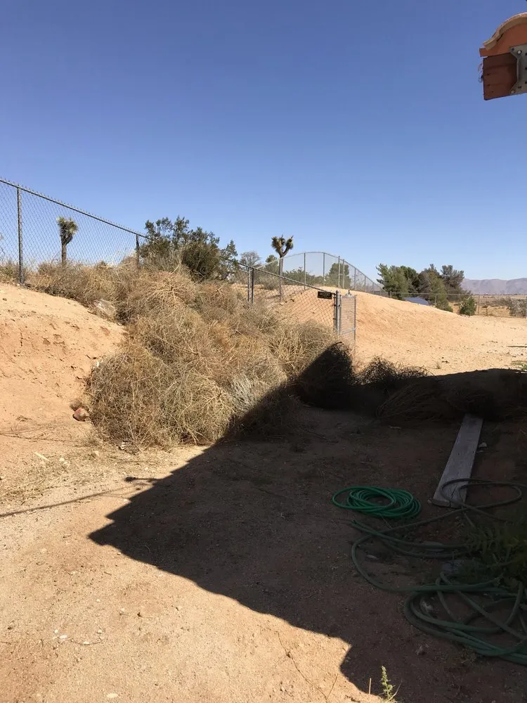 Professional residential landscaping experts serving Hesperia, CA - Fast Trac Tractor Service