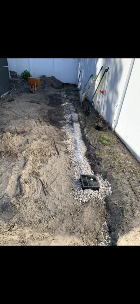 Reliable lawn care service experts serving Tampa, FL - Fast Tracks Land Management