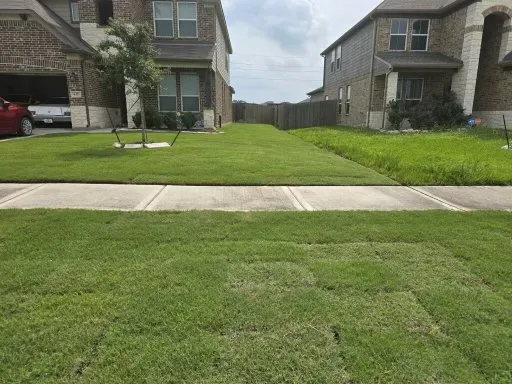 Custom lawn care service in Katy, TX - Fastlife Xpress