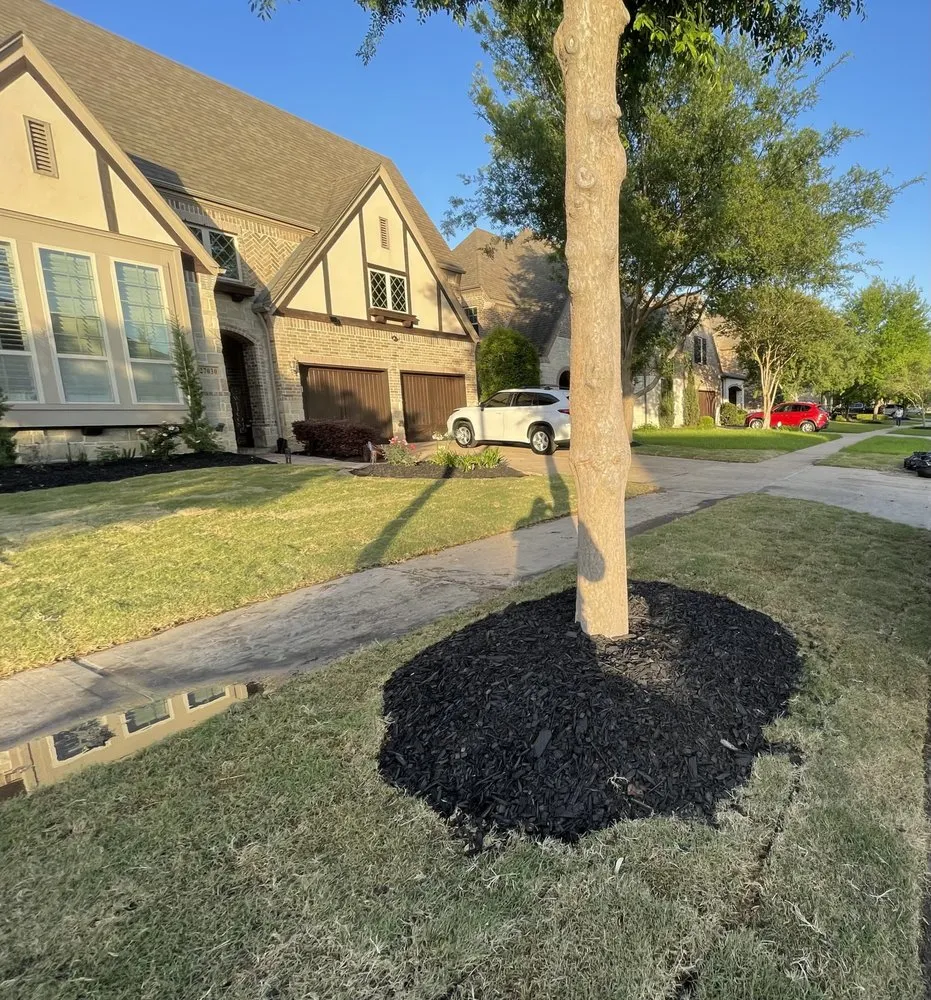 Trusted garden landscaping in Katy, TX - Fastlife Xpress
