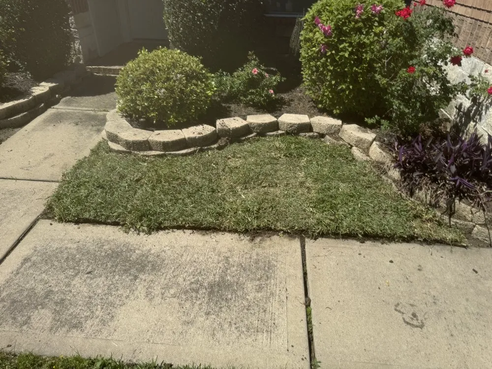 Trusted yard cleanup service near you across Katy, TX - Fastlife Xpress