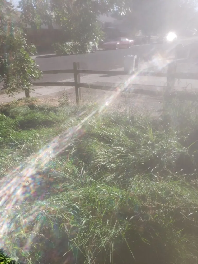 Trusted yard maintenance in Grand Junction, CO - Fastline Handyman Services