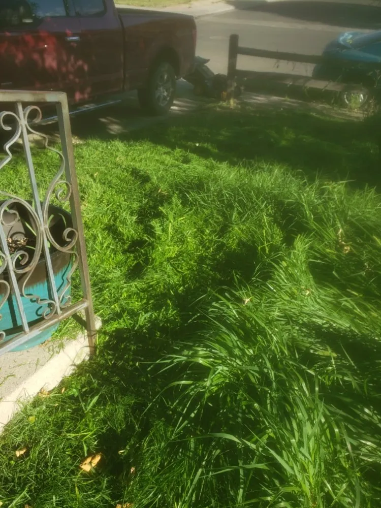 Top-rated outdoor landscaping in Grand Junction, CO by Fastline Handyman Services