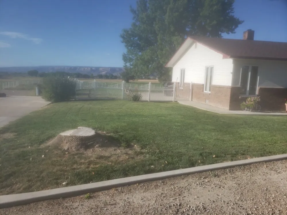 Reliable outdoor landscaping experts serving Grand Junction, CO - Fastline Handyman Services