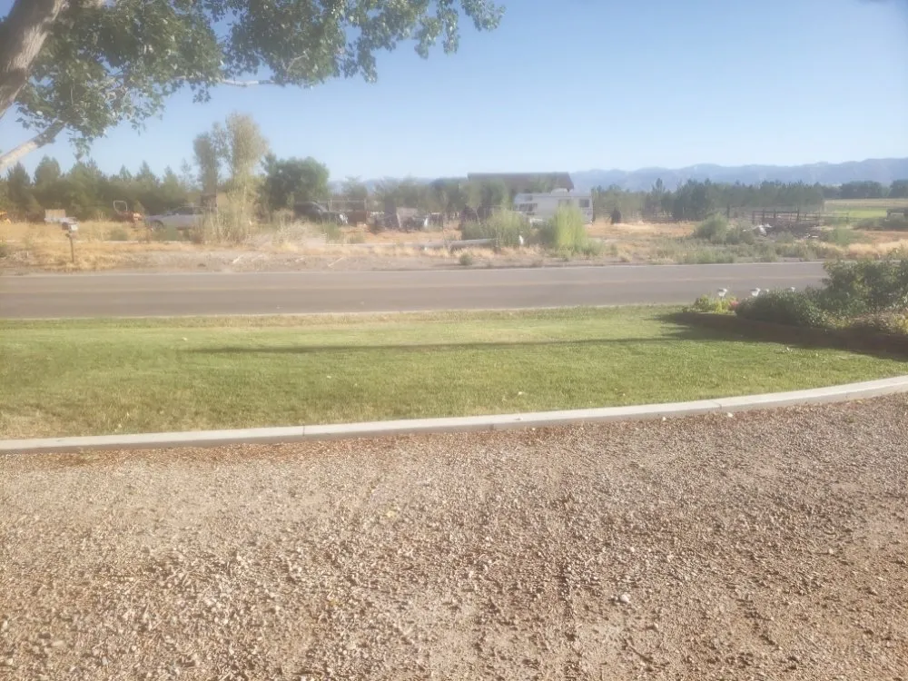 Expert yard cleanup service in Grand Junction, CO - Fastline Handyman Services