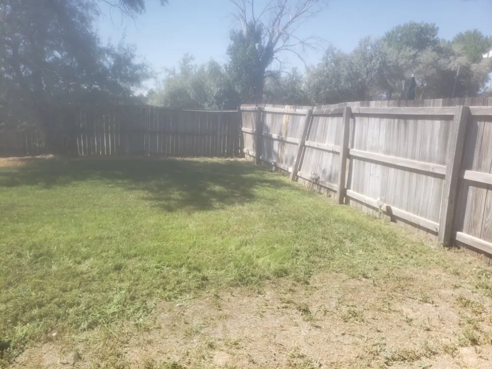 Custom lawn care service for year-round maintenance in Grand Junction, CO by Fastline Handyman Services