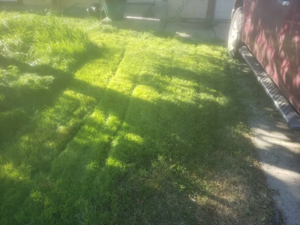 Custom lawn mowing service for beautiful yards in Grand Junction, CO by Fastline Handyman Services