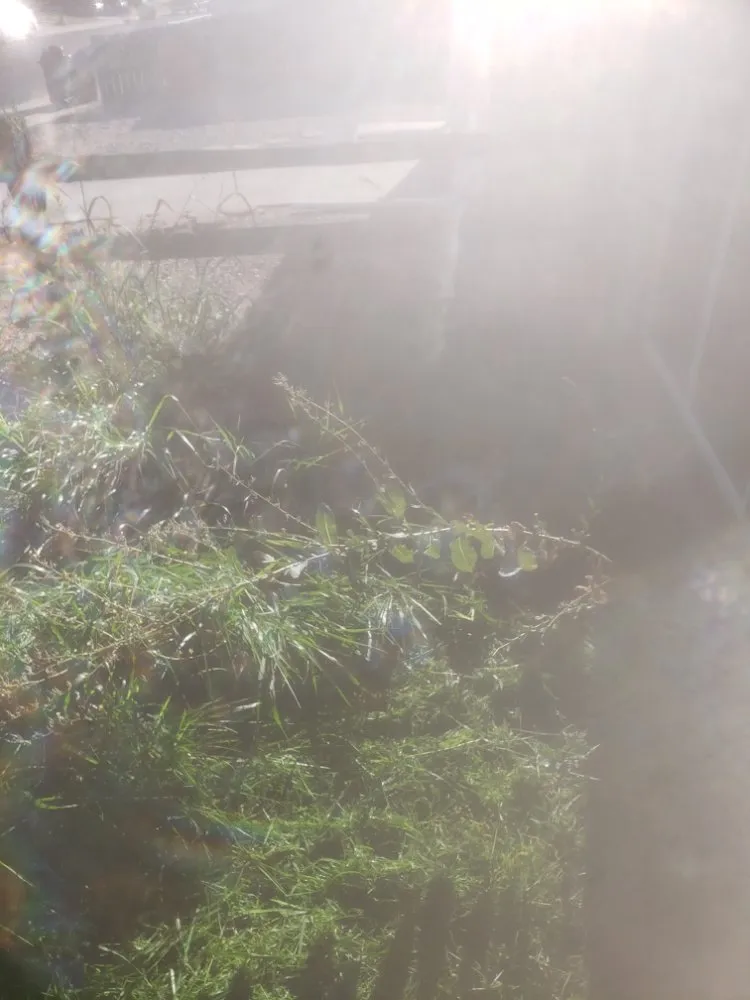 Professional garden landscaping in Grand Junction, CO by Fastline Handyman Services