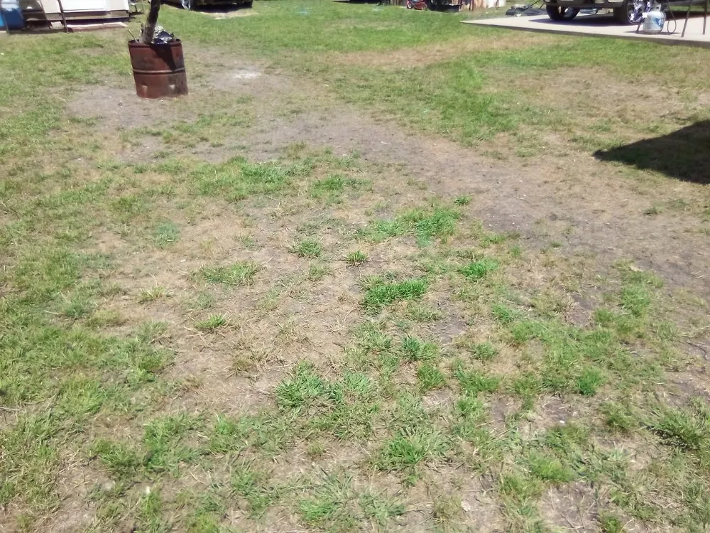 Affordable lawn care service for beautiful yards across Waco, TX - Fat Boyz Landscaping