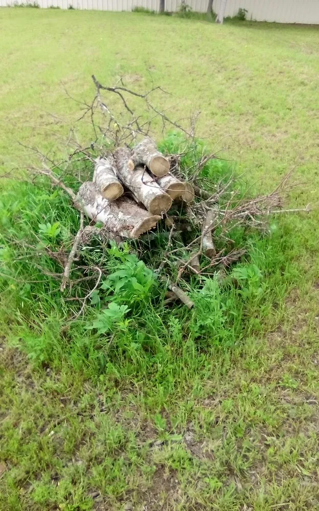 Trusted lawn mowing service experts serving Waco, TX - Fat Boyz Landscaping