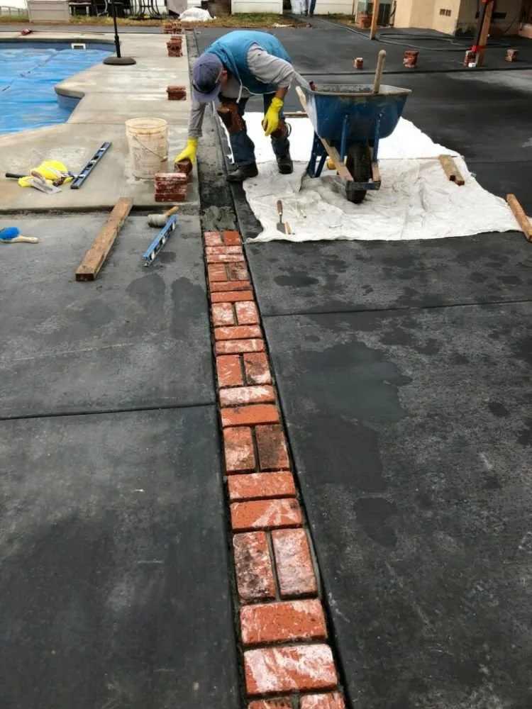 Professional landscape installation for year-round maintenance in San Diego, CA by FAT Concrete Construction