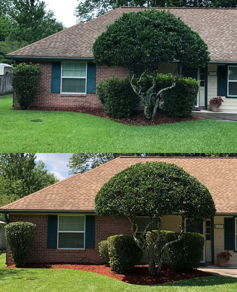 Custom outdoor landscaping near you in Orange Park, FL by Fat Grass Lawn Care