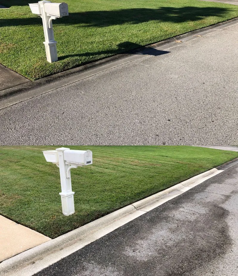 Professional residential landscaping in Orange Park, FL - Fat Grass Lawn Care