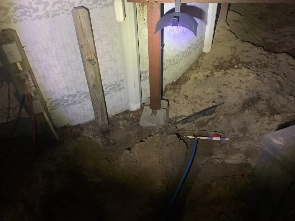 Professional yard cleanup service in Wallace, SC - Fatbois Plumbing and Landscaping