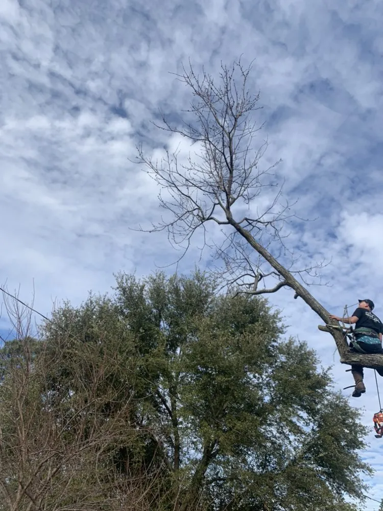 Top-rated garden landscaping in Wallace, SC by Fatbois Plumbing and Landscaping
