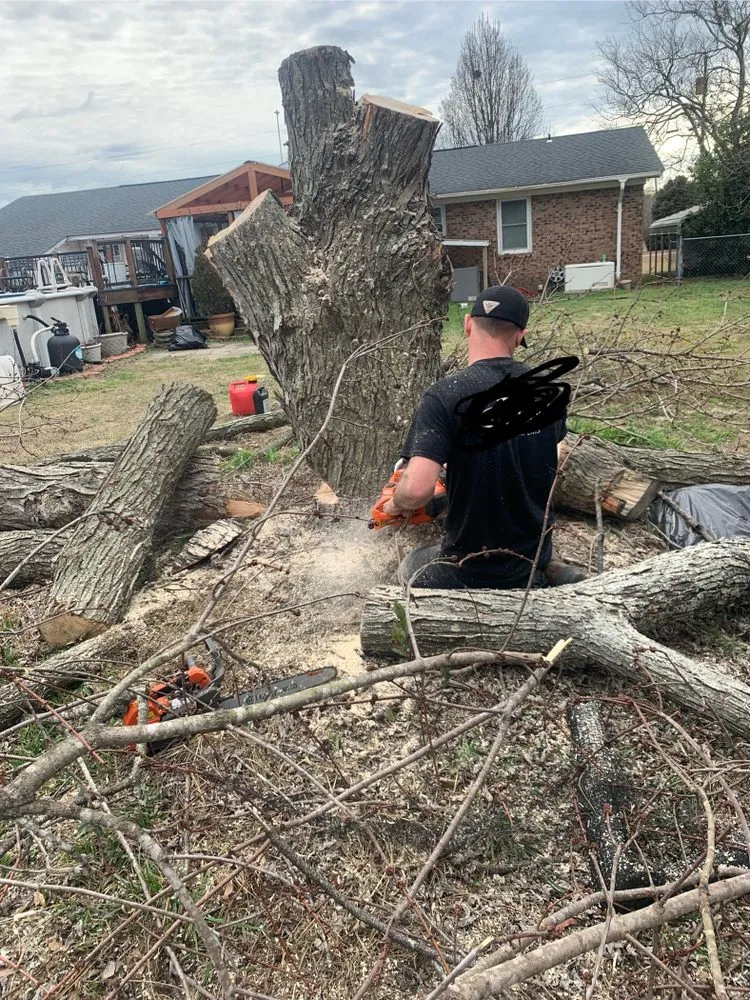 Professional residential landscaping experts serving Wallace, SC - Fatbois Plumbing and Landscaping