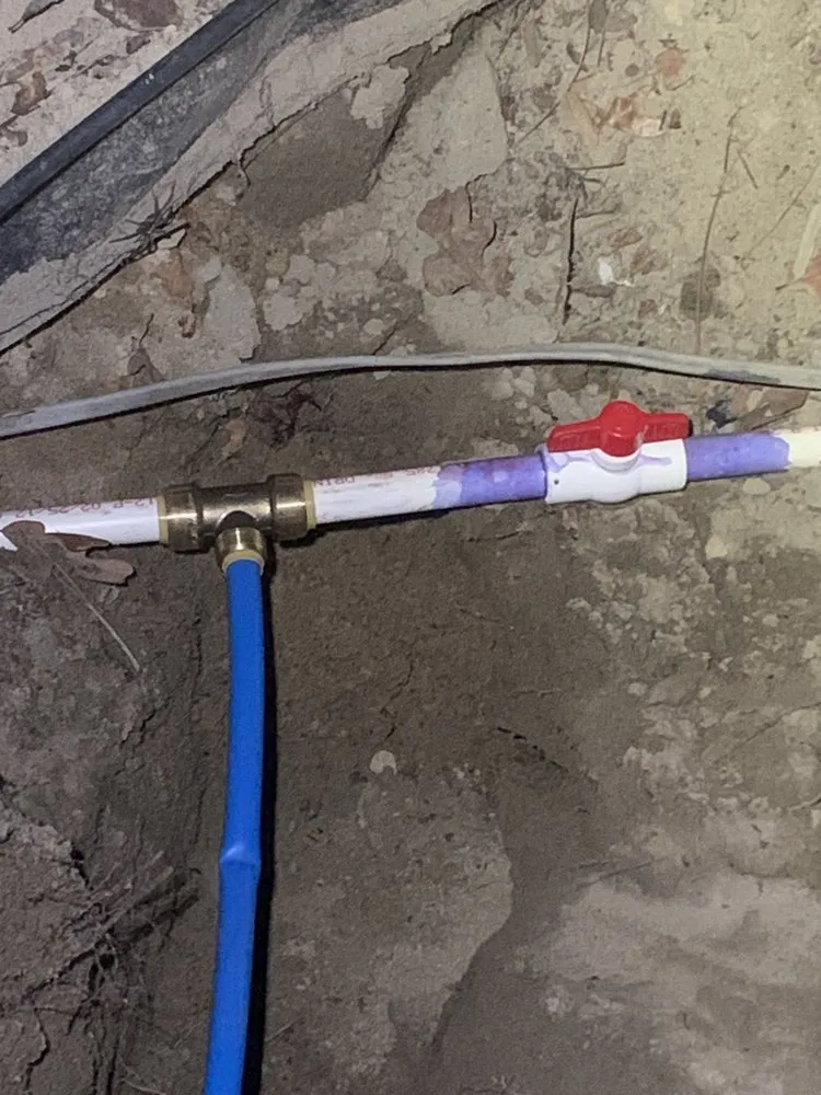 Local yard cleanup service in Wallace, SC by Fatbois Plumbing and Landscaping