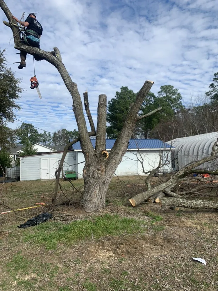 Affordable lawn mowing service for outdoor upgrades across Wallace, SC - Fatbois Plumbing and Landscaping