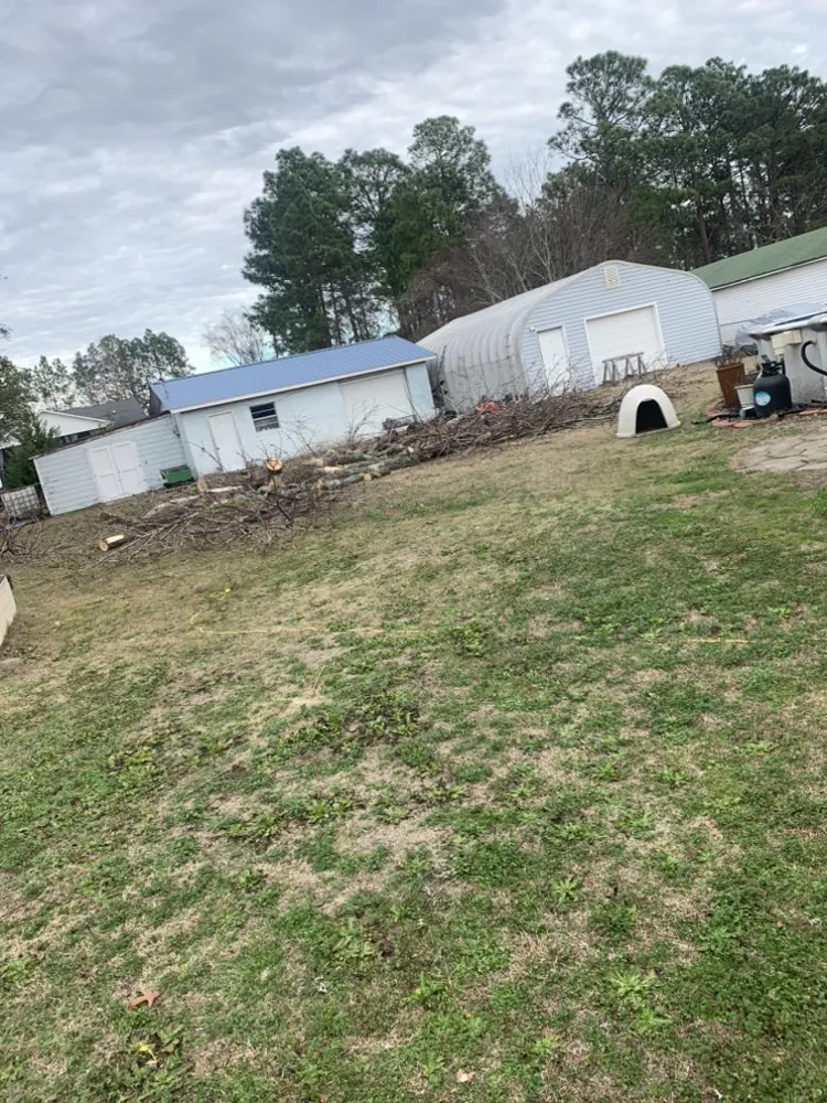 Expert lawn care service experts serving Wallace, SC - Fatbois Plumbing and Landscaping