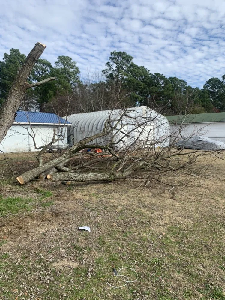 Top-rated lawn care service for homes across Wallace, SC - Fatbois Plumbing and Landscaping