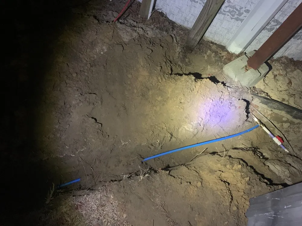 Trusted yard cleanup service in Wallace, SC by Fatbois Plumbing and Landscaping