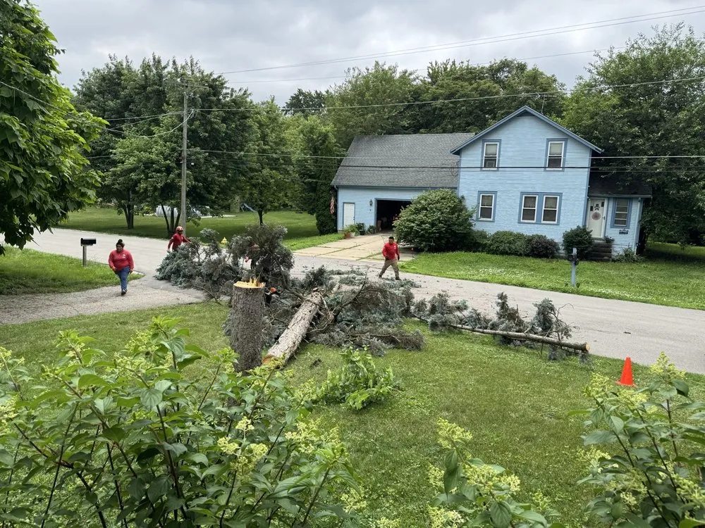 Top-rated lawn care service in Warrenville, IL - Father & Son G