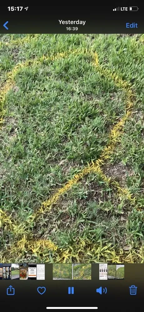 Professional garden landscaping in Mount Dora, FL by Father & Son Landscaping