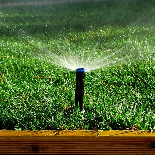 Affordable lawn care service for homes across Mount Dora, FL - Father & Son Landscaping