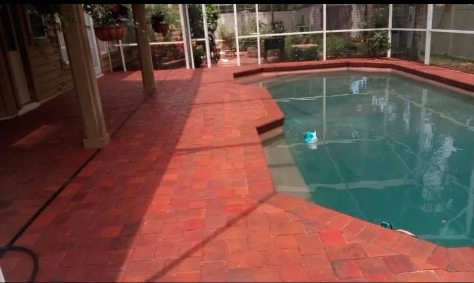 Affordable lawn care service experts serving Mount Dora, FL - Father & Son Landscaping