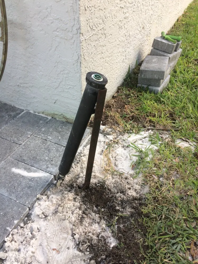 Top-rated landscape installation for outdoor upgrades in Mount Dora, FL by Father & Son Landscaping