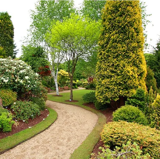 Top-rated garden landscaping in Mount Dora, FL by Father & Son Landscaping