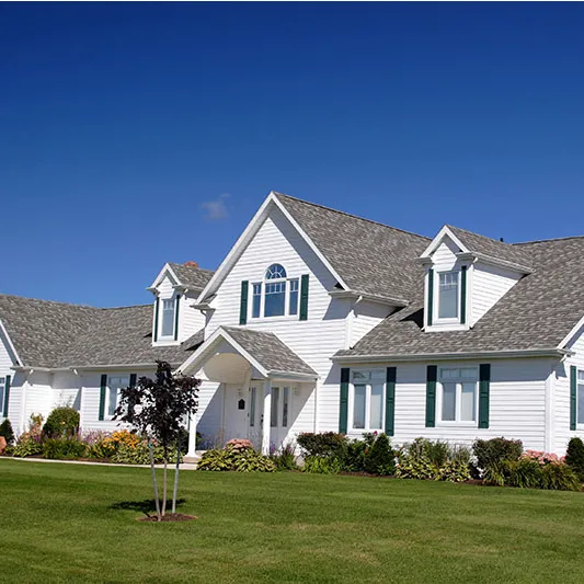 Affordable landscape installation in Mount Dora, FL by Father & Son Landscaping