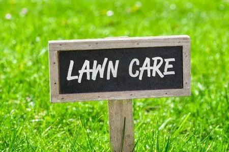 Father & Son Lawn Care