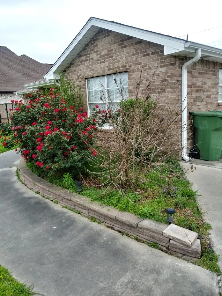 Top-rated yard maintenance in Nederland, TX - Father & Son Lawn Care