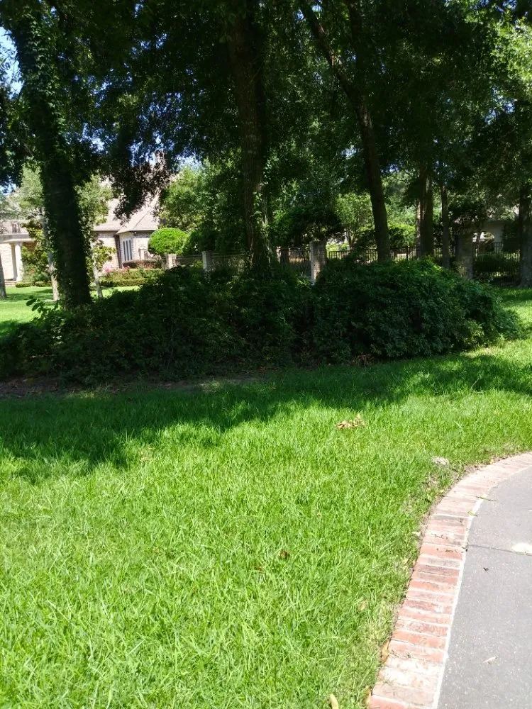 Expert yard cleanup service in Nederland, TX by Father & Son Lawn Care