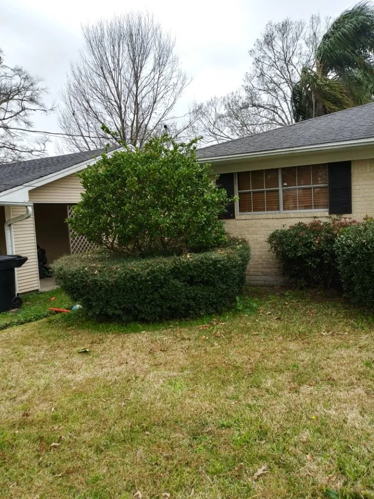 Local lawn care service for homes in Nederland, TX by Father & Son Lawn Care