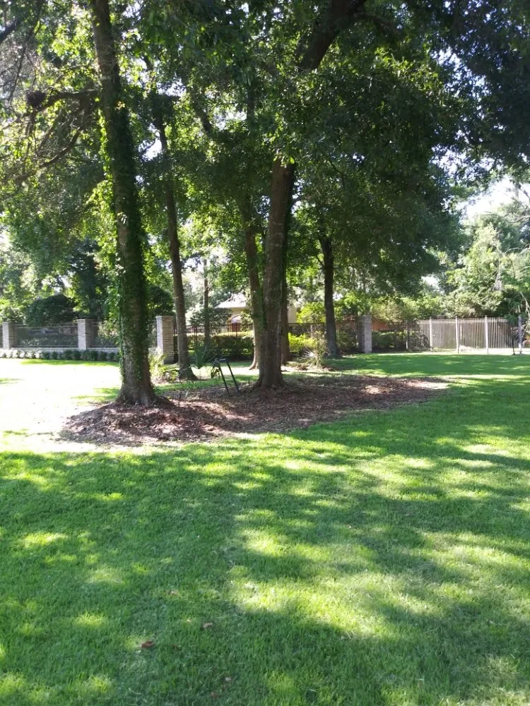 Trusted lawn mowing service in Nederland, TX by Father & Son Lawn Care