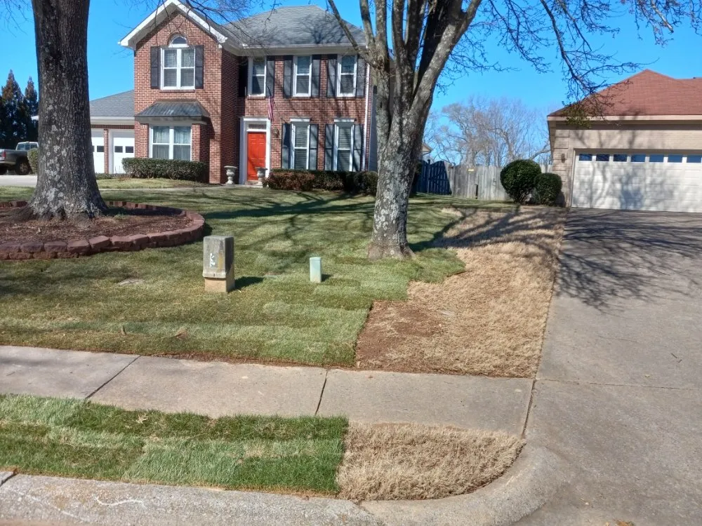 Custom residential landscaping in New Market, AL - Father & Son Lawn Services