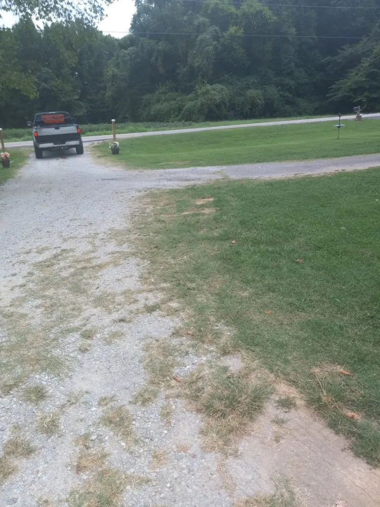 Reliable yard cleanup service in New Market, AL - Father & Son Lawn Services