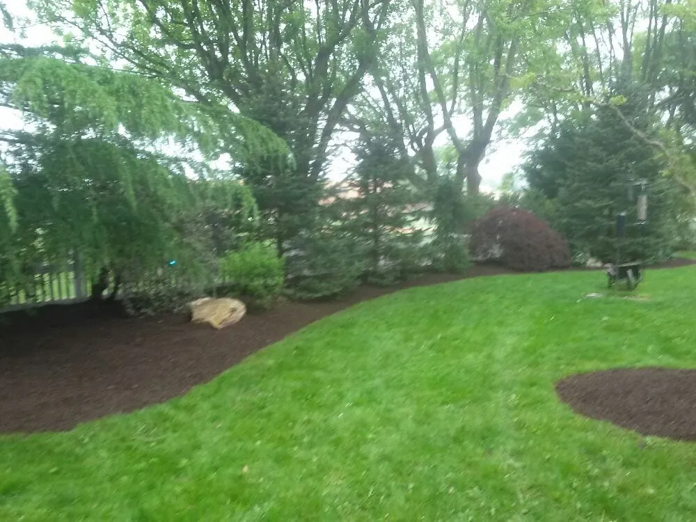 Reliable lawn care service experts serving Wilmington, DE - Father & Son Lawncare