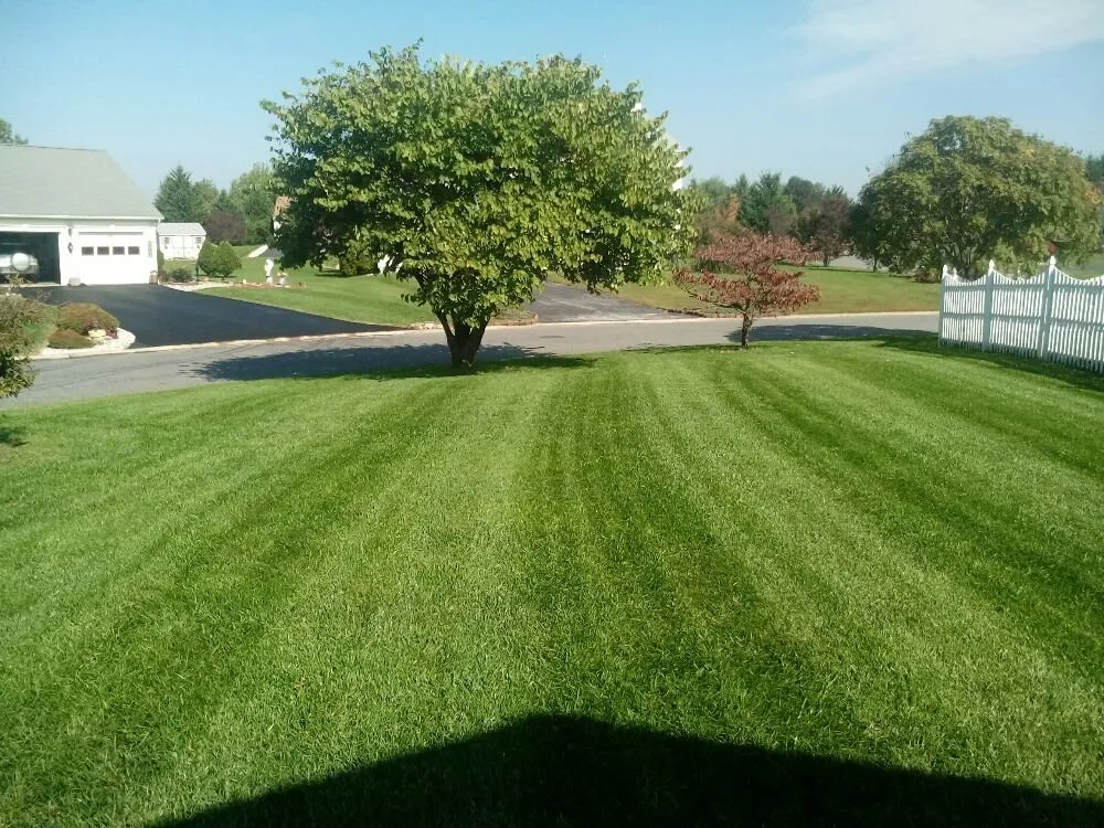 Trusted garden landscaping in Wilmington, DE by Father & Son Lawncare
