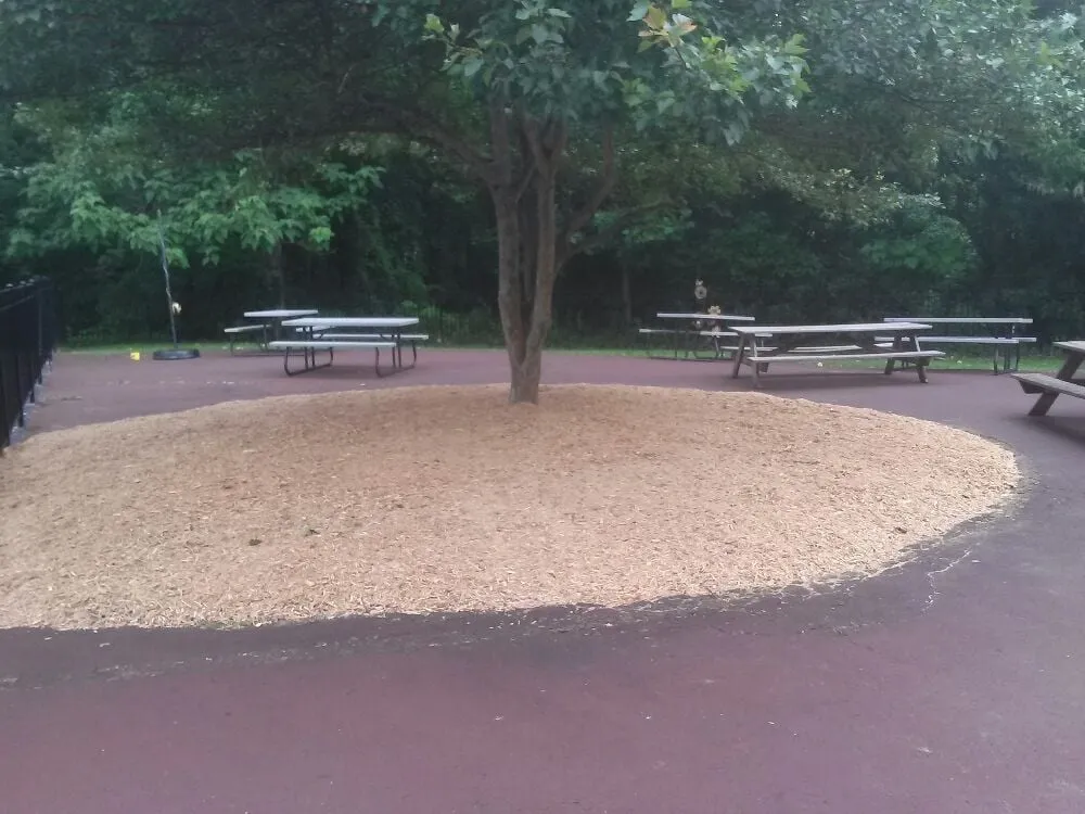 Local yard maintenance in Wilmington, DE by Father & Son Lawncare