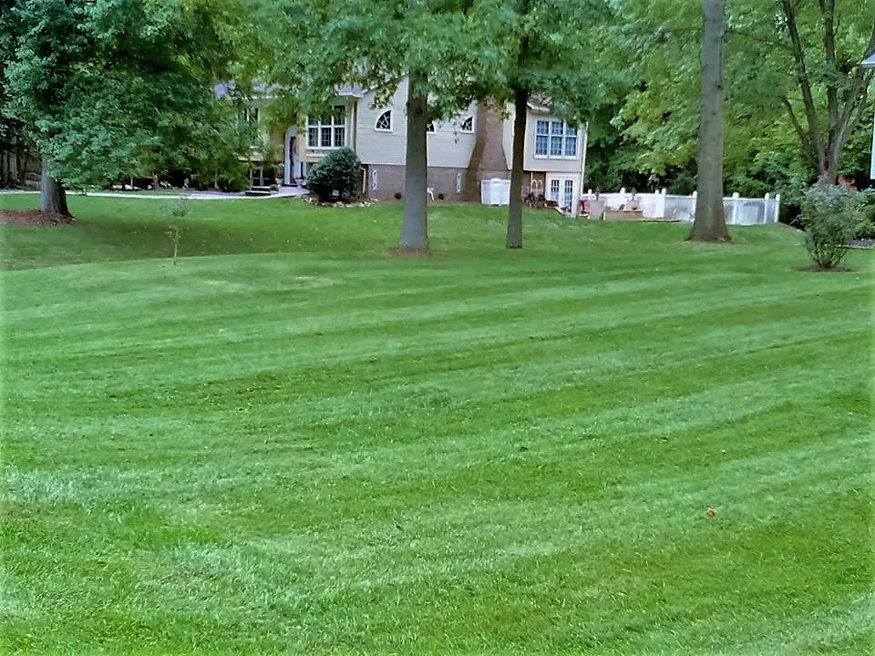Affordable yard maintenance for homes in Wilmington, DE by Father & Son Lawncare