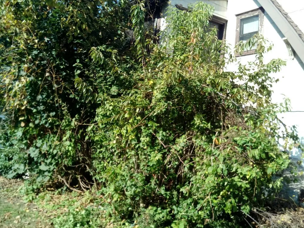 Affordable landscape installation in Wilmington, DE - Father & Son Lawncare