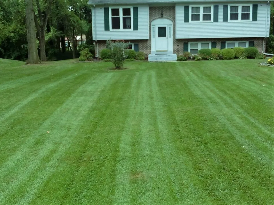 Professional outdoor landscaping for outdoor upgrades in Wilmington, DE by Father & Son Lawncare