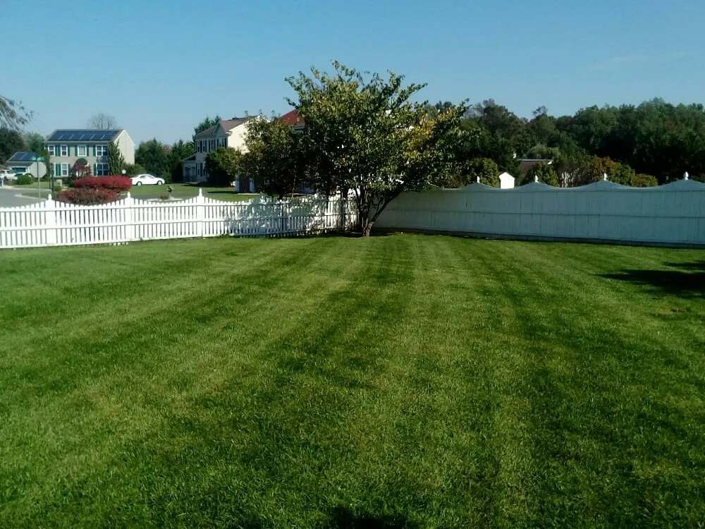 Expert yard cleanup service in Wilmington, DE - Father & Son Lawncare
