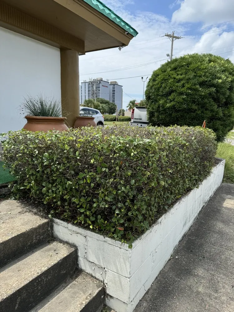 Custom landscaping services in Conway, SC - Father & Sons Lawn Care