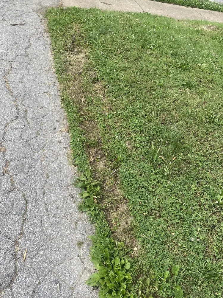 Reliable residential landscaping in St. Louis, MO by Father & Son’s