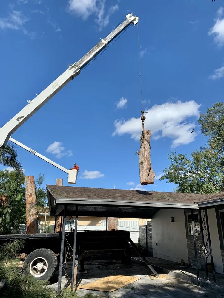 Top-rated lawn mowing service near you in Homestead, FL by Father & Sons Tree Service